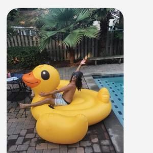 Meet your Posher, Preston